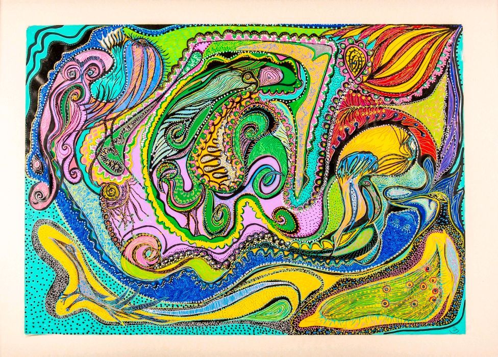 Oiseaux - univers marin