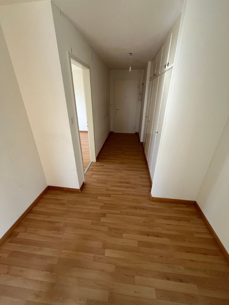Hogar Clean GmbH