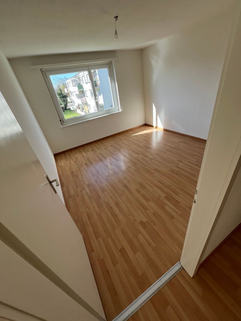 Hogar Clean GmbH