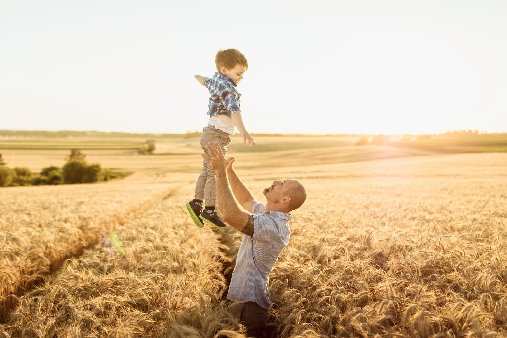 Un papa porte son enfant dans un champ de blé.