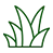 Un dibujo lineal de una planta con hojas sobre un fondo blanco.