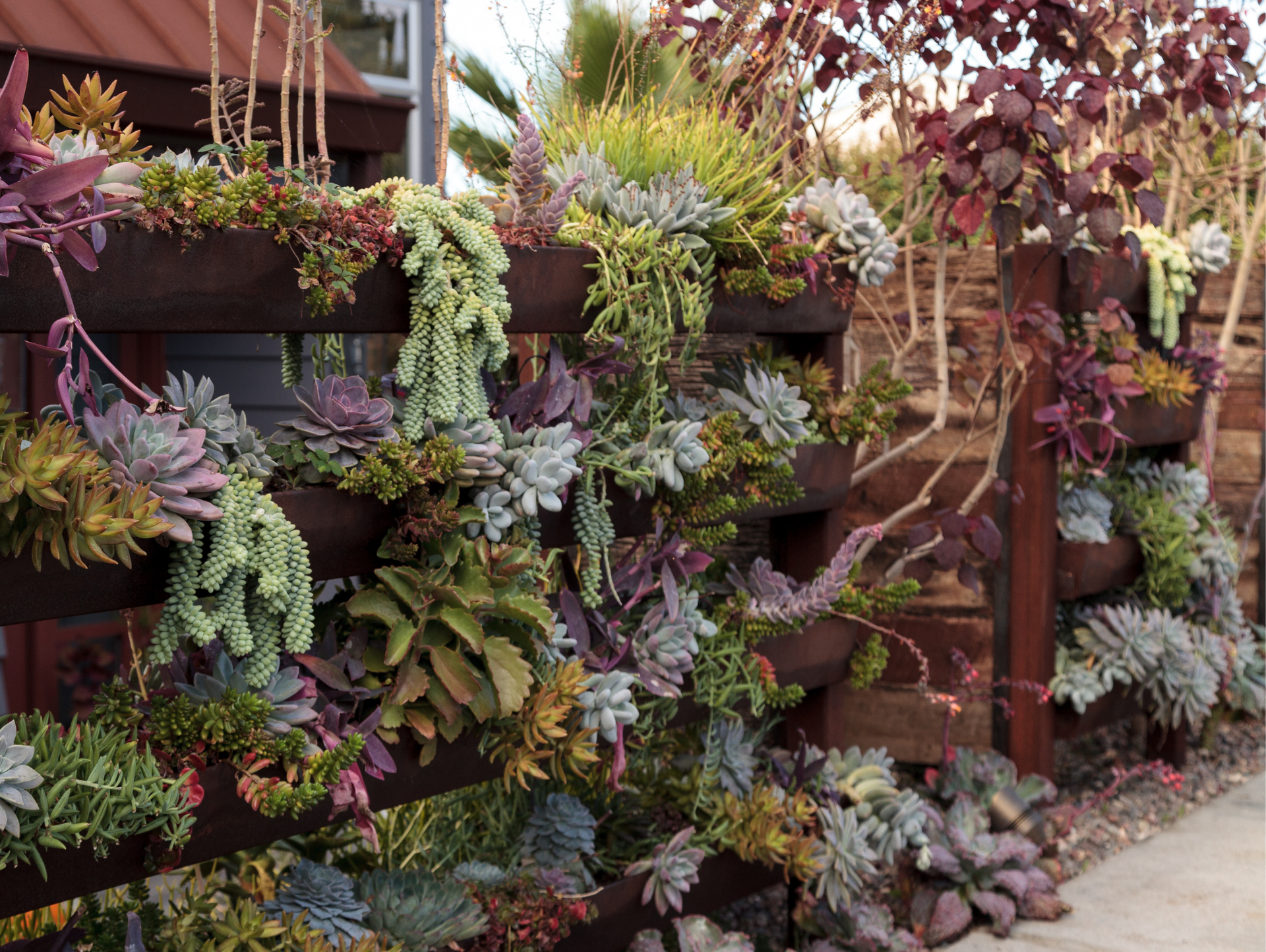 Un homme coupe une branche d'arbre avec une tronçonneuse.
