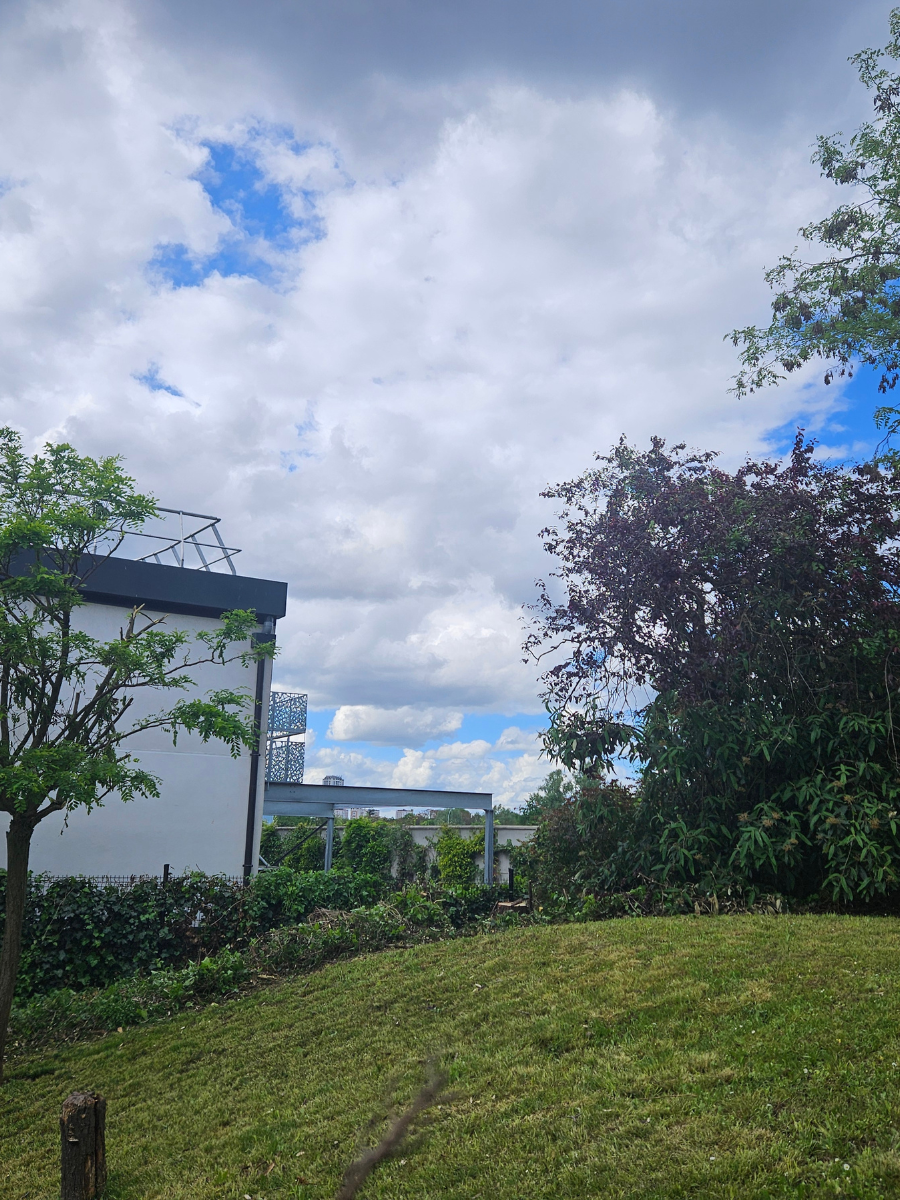 Un champ vert luxuriant avec des arbres et un bâtiment en arrière-plan par temps nuageux.