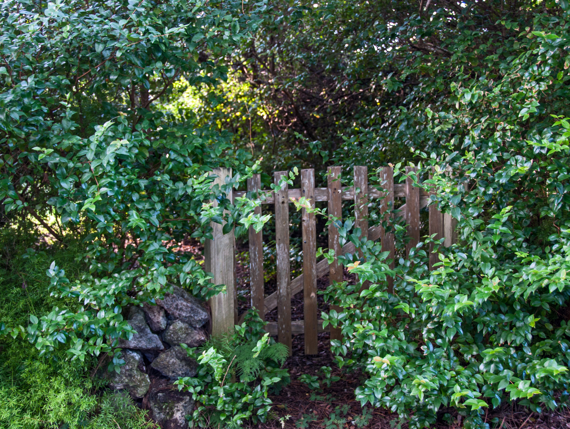 Une clôture en bois est entourée d'arbres et de buissons.