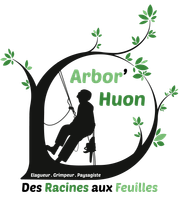 A logo for arbor huon des racines aux feuilles