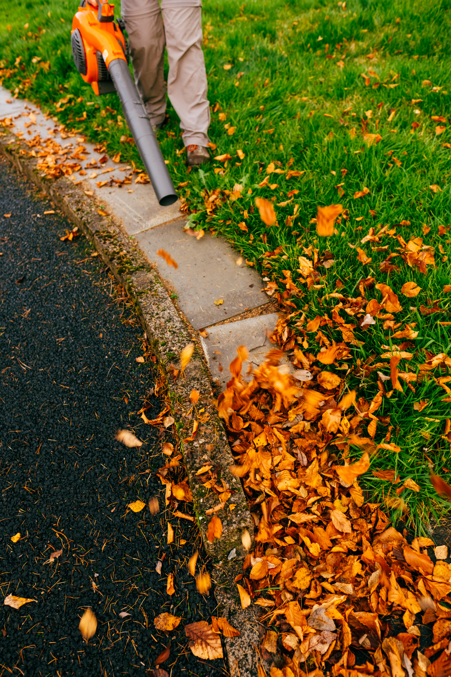 Une personne souffle des feuilles sur le bord de la route.