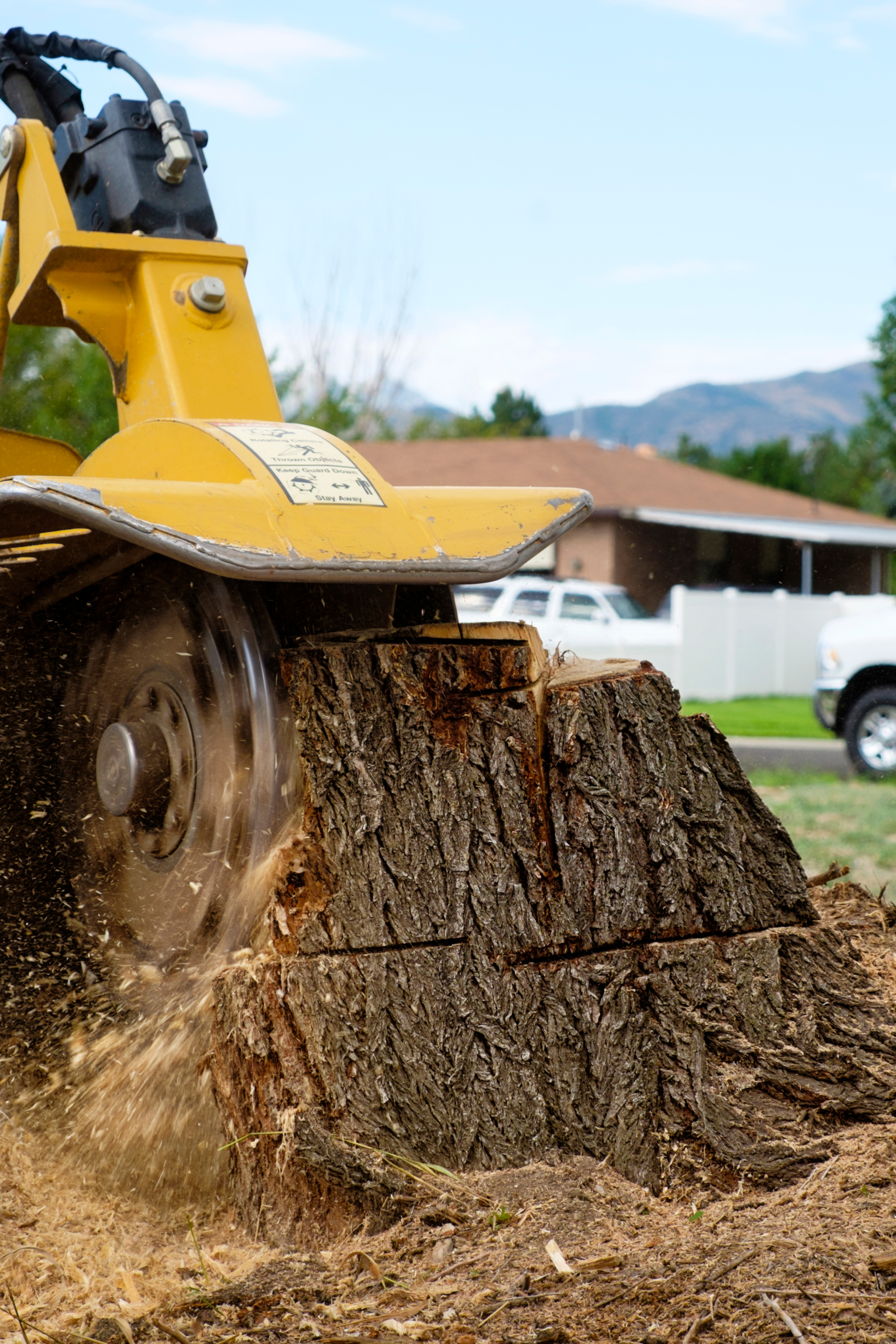 Une souche d'arbre est en train d'être enlevée par une machine.