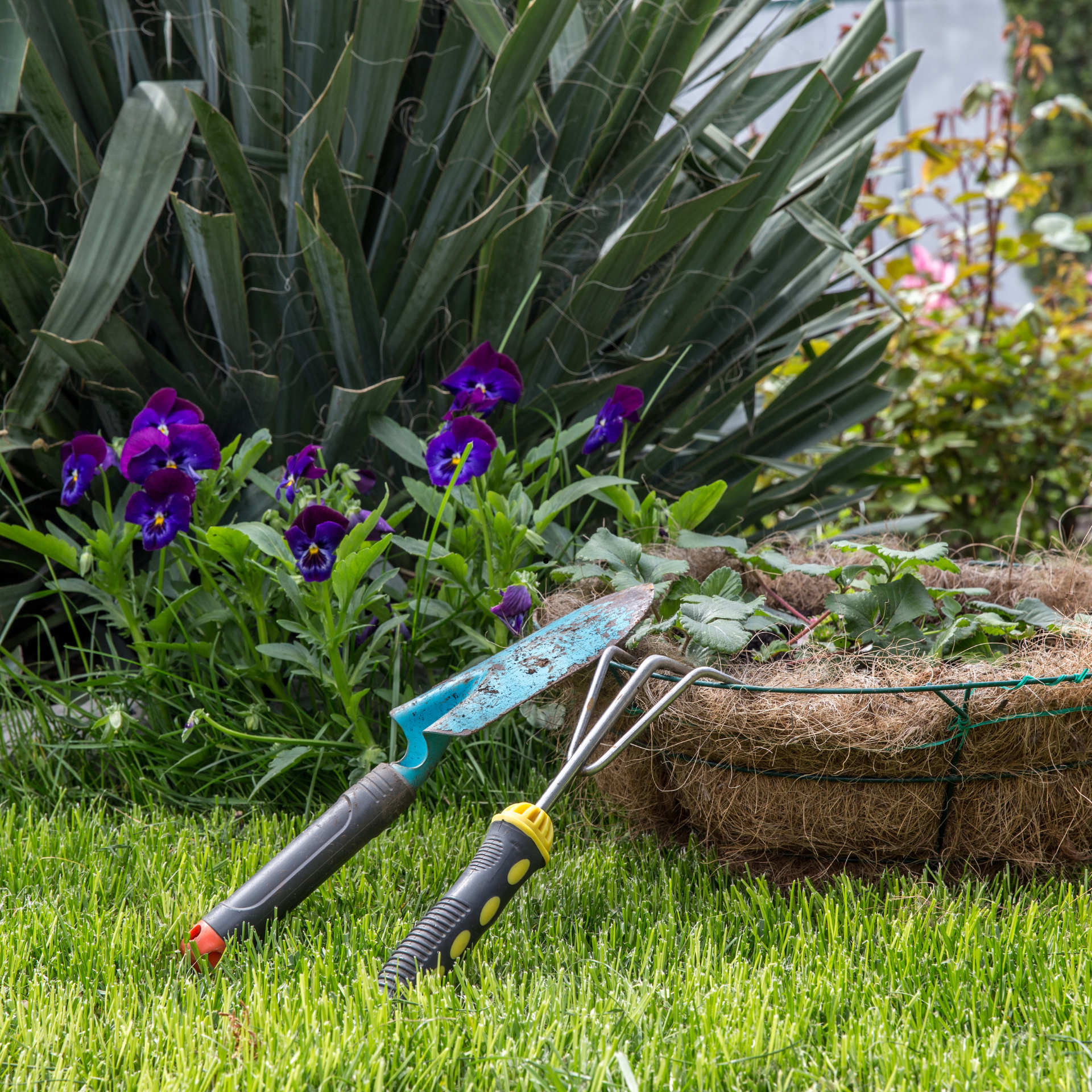Une paire d'outils de jardinage est posée dans l'herbe à côté d'une plante en pot.
