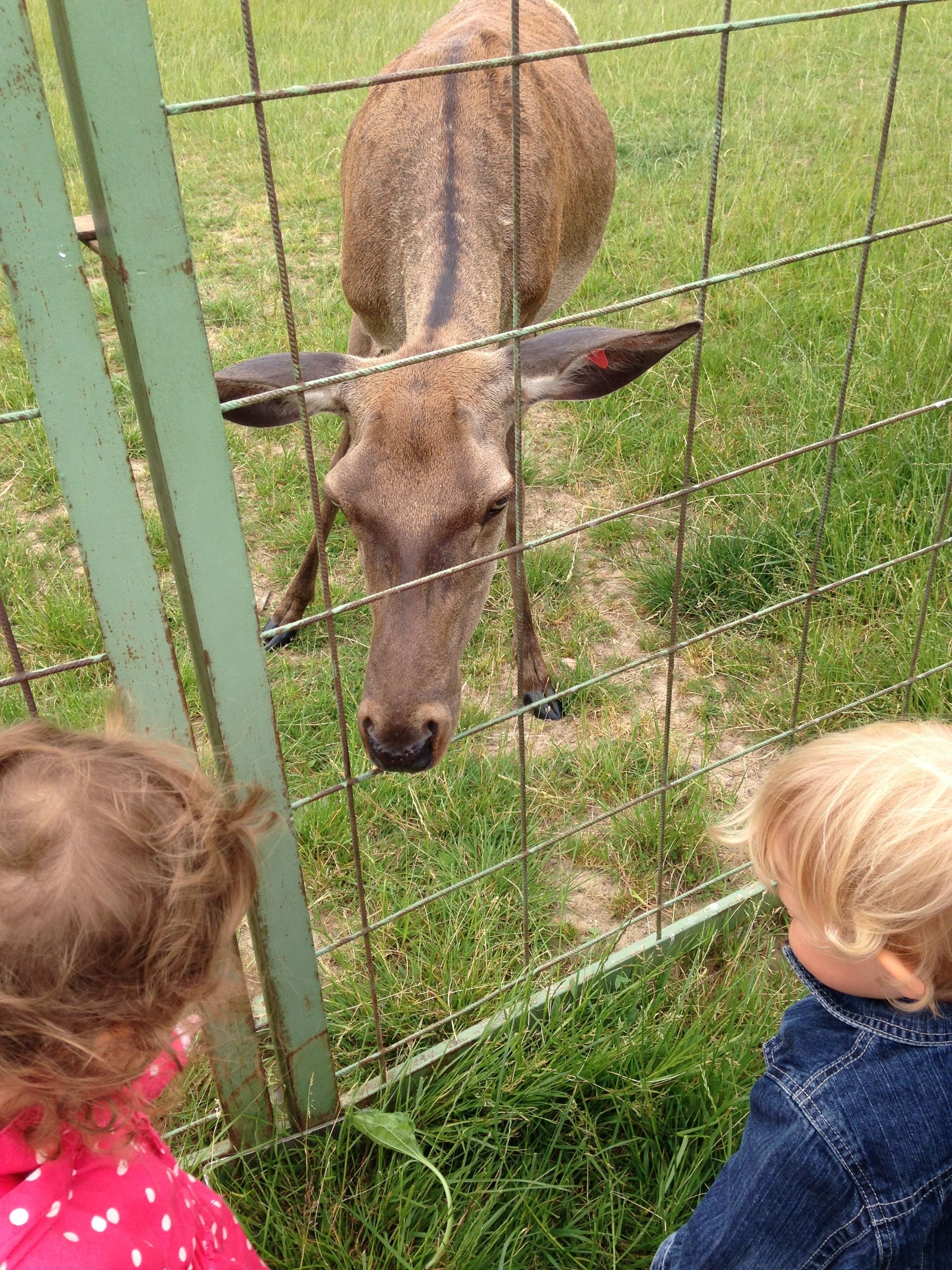 Enfants dans un espace vert