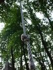 Eine Seilschaukel hängt an einem Baum im Wald.