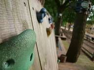 Eine Nahaufnahme einer Kletterwand an einem Holzzaun.