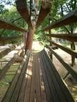 Eine Holzbrücke über einen Fluss mit Bäumen im Hintergrund.