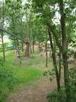 Ein Weg inmitten eines Parks, umgeben von Bäumen und Gras.