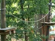 Ein Hochseilgarten mitten in einem Wald, umgeben von Bäumen.