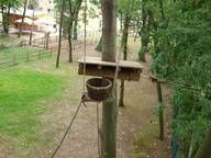 Eine Person klettert in einem Hochseilgarten im Wald.