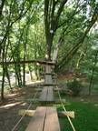 Eine Holzbrücke inmitten eines Waldes, umgeben von Bäumen.