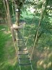 Eine Person läuft im Wald über eine Hängebrücke.