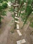 Eine Luftaufnahme eines Hochseilgartens im Wald.