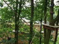 Eine Person klettert in einem Hochseilgarten im Wald.