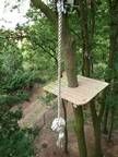 Eine Seilschaukel hängt an einem Baum im Wald.