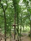 Ein Hochseilgarten mitten in einem Wald, umgeben von Bäumen.