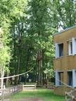 Ein Haus inmitten eines Waldes mit Bäumen im Hintergrund.