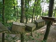Eine Holzbrücke mitten in einem Wald.