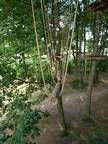 Ein Baumhaus mitten in einem Wald, umgeben von Bäumen.
