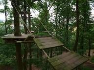 Eine Holzbrücke mitten in einem Wald.