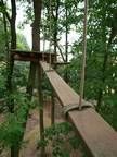 Eine Holzbrücke inmitten eines Waldes, umgeben von Bäumen.