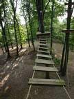 Eine Holzbrücke mitten in einem Wald.