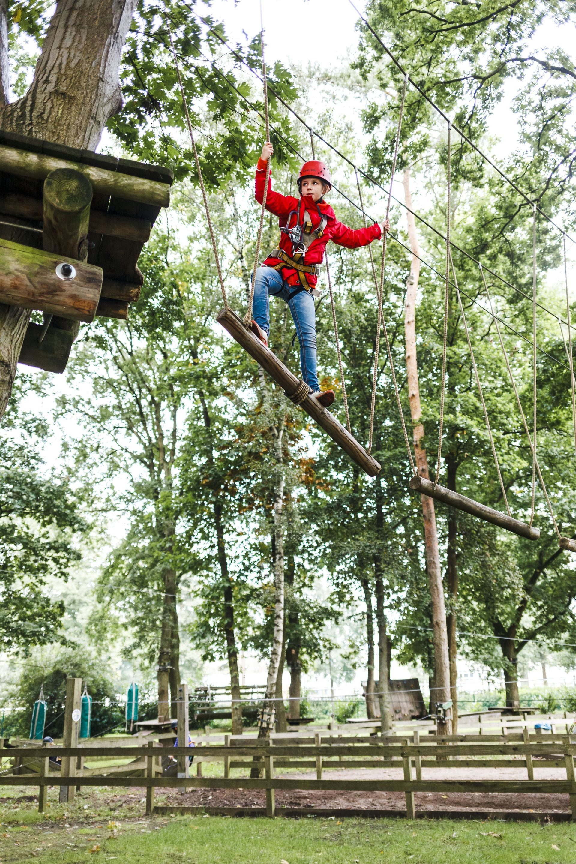 Ein kleiner Junge steht auf einem Hochseilgarten im Wald.