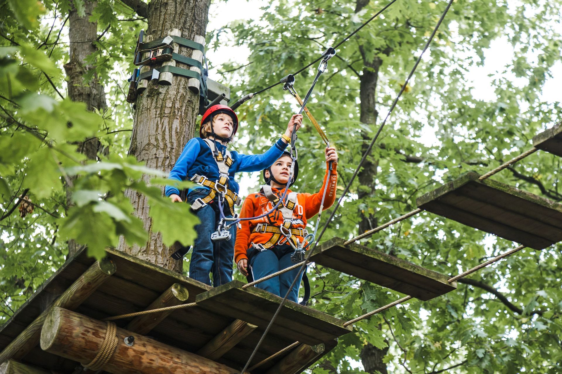 Zwei kleine Jungen stehen auf einem Hochseilgarten in den Bäumen.
