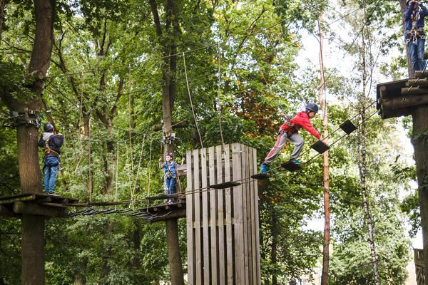 Eine Gruppe von Menschen steht auf einem Hochseilgarten im Wald.