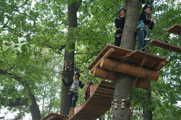 Zwei Personen stehen auf einer Holzplattform in einem Baum.