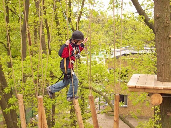 Ein kleiner Junge läuft im Wald über eine Hängebrücke.