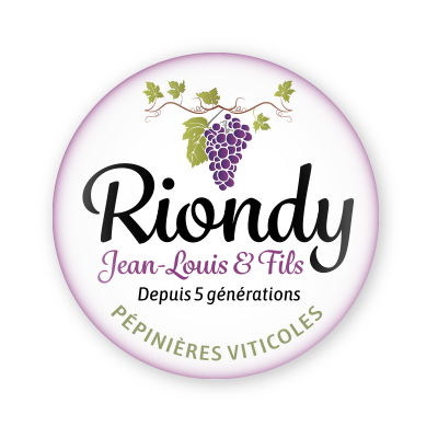Logo Riondy