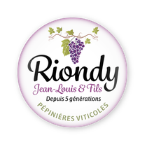 Logo de Riondy Jean-Louis et Fils