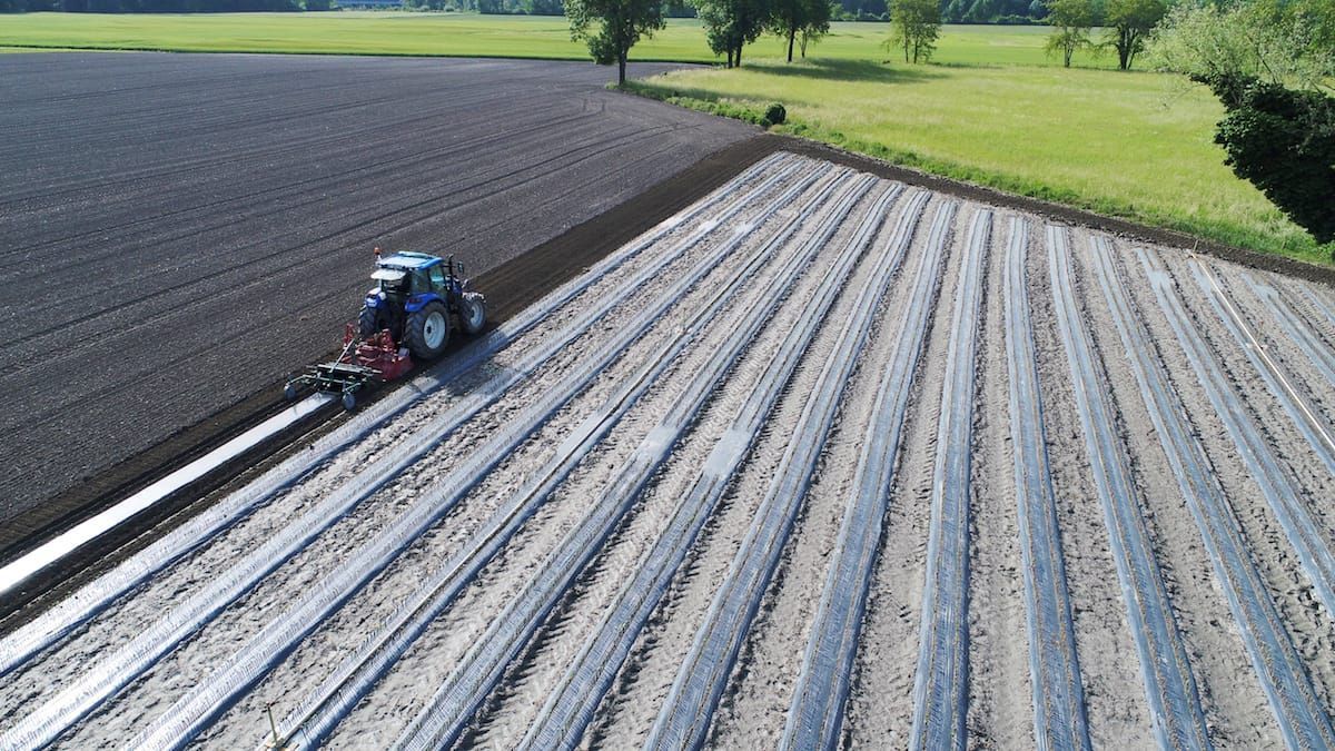 Tracteur dans un champs