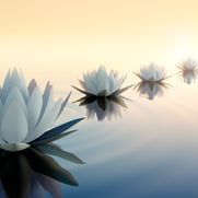 Anne-France TIlle | Vevey