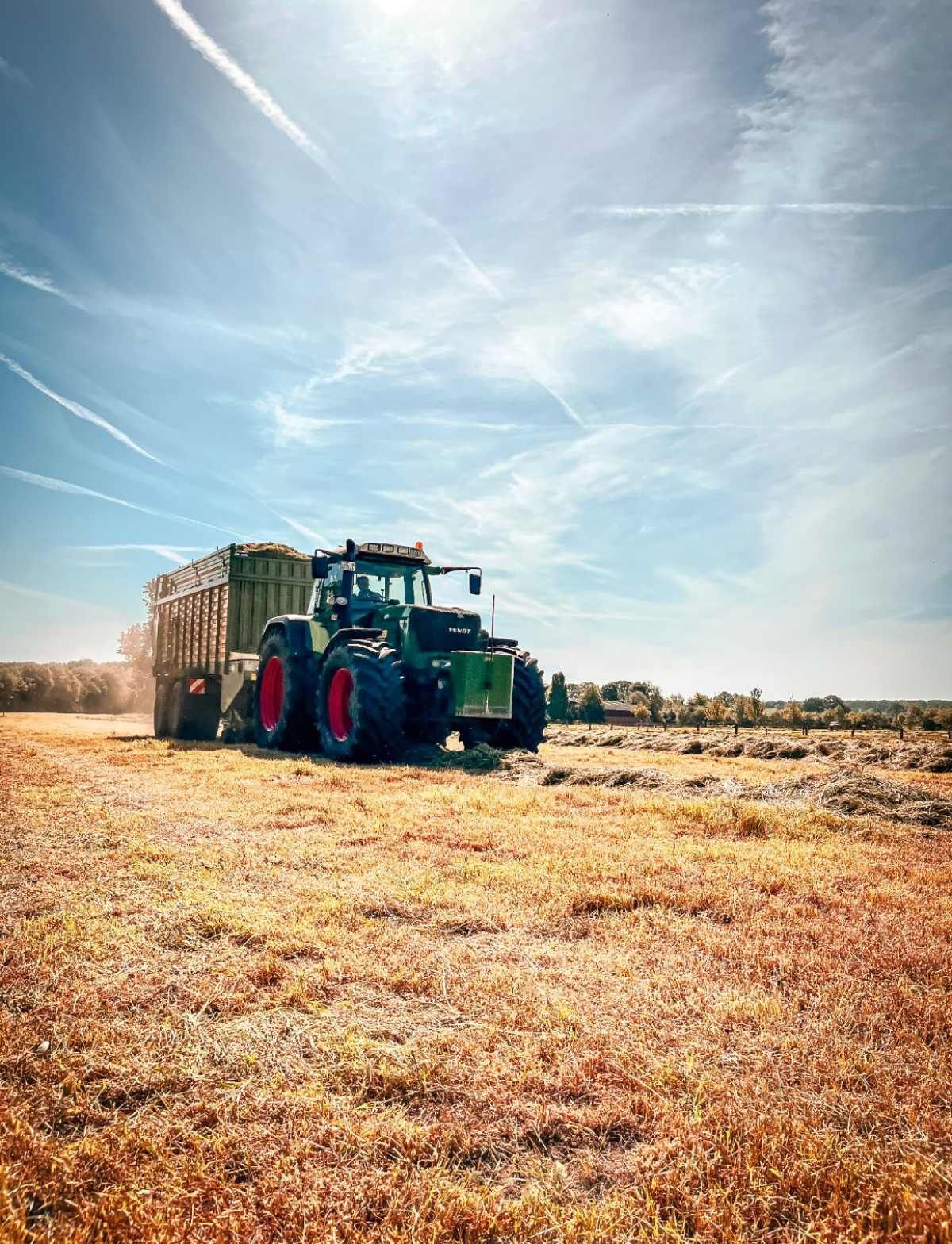 Ein grüner Traktor fährt mit einem Heuballenanhänger durch ein Feld .