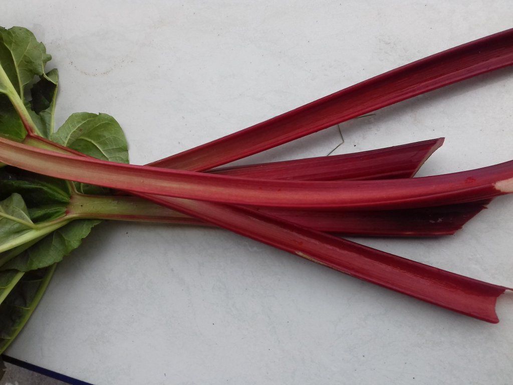 Delices de la  ferme