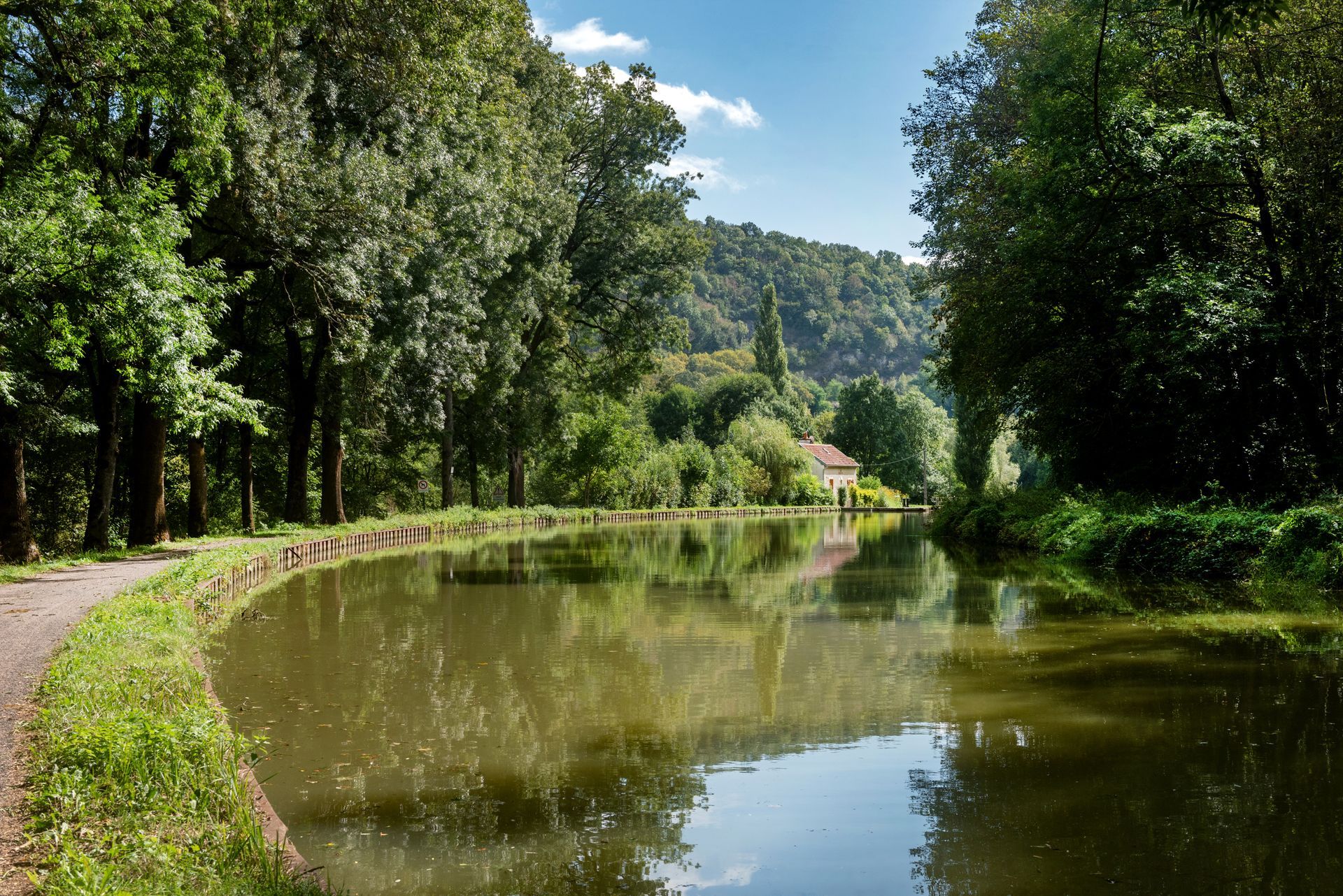 Chemin bordé d'arbres au bord d'une rivière paisible reflétant les collines verdoyantes et le ciel bleu.