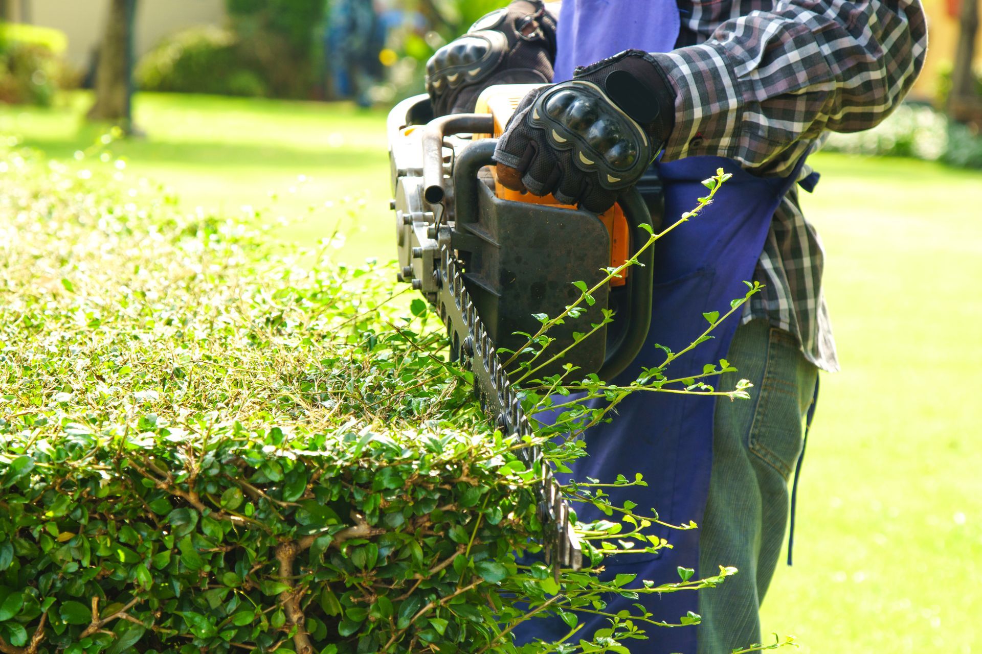 Une personne taille une haie avec un taille-haie à essence dans un jardin ensoleillé.