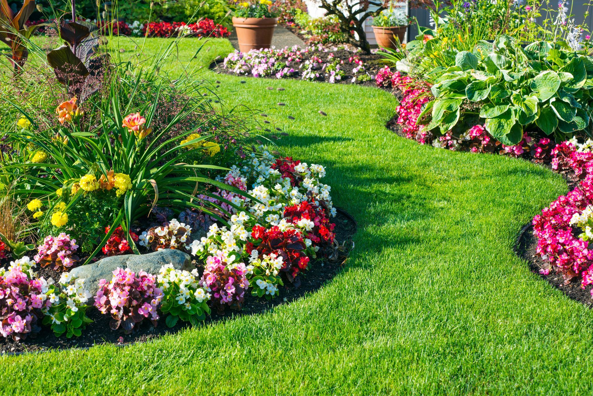 Des parterres de fleurs colorés bordent un chemin de jardin verdoyant et luxuriant, avec des plantes en pot en arrière-plan.