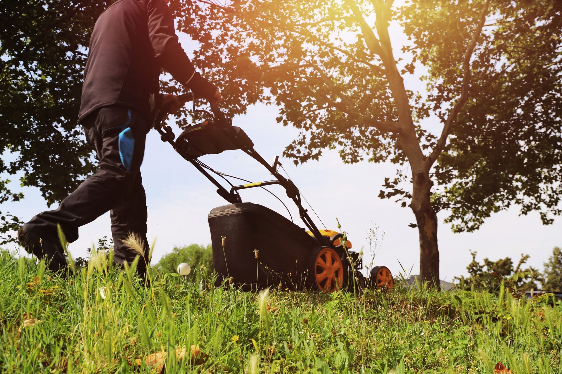 Une personne tond la pelouse avec une tondeuse manuelle dans un jardin ensoleillé, vue en contre-plongée avec des arbres en arrière-plan.