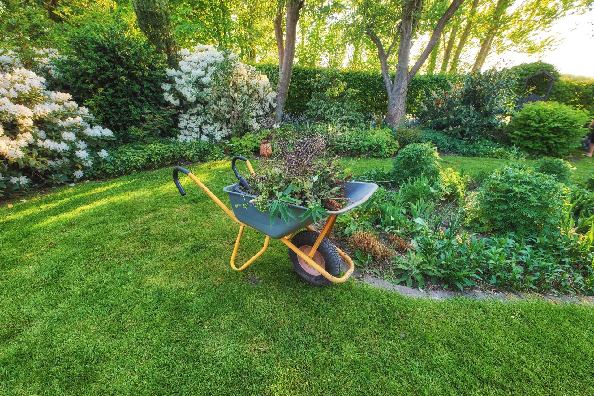 Brouette dans un jardin verdoyant et luxuriant, bordé de parterres de fleurs et d'arbres.