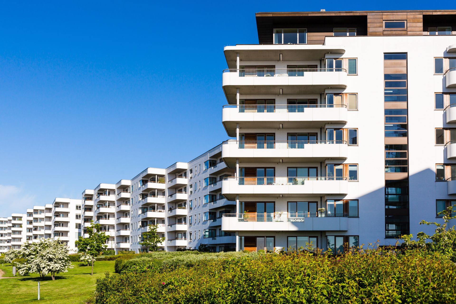 Immeubles d'appartements modernes blancs avec balcons derrière une haie verte sous un ciel bleu clair.