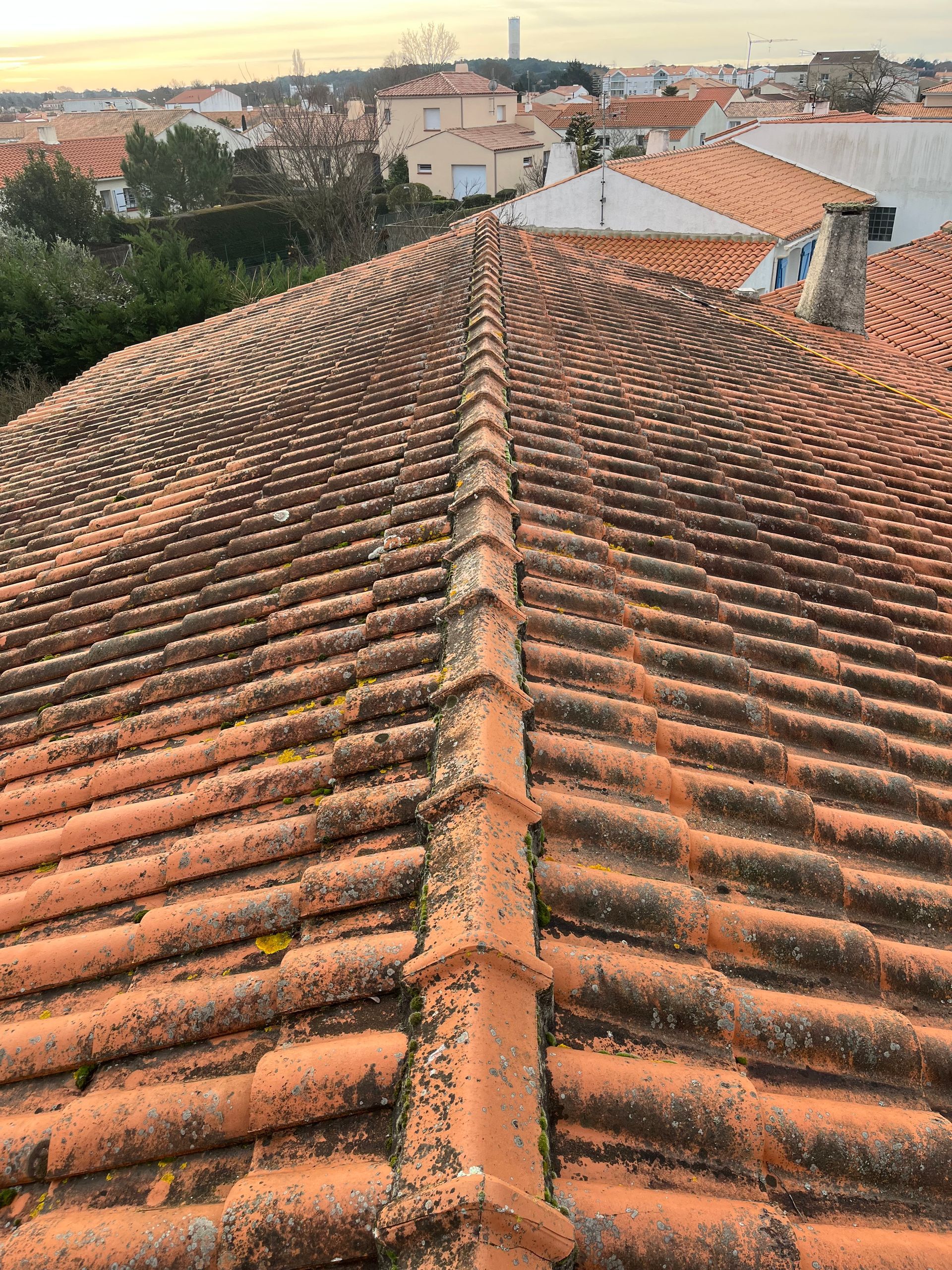 Toiture recouverte de saleté