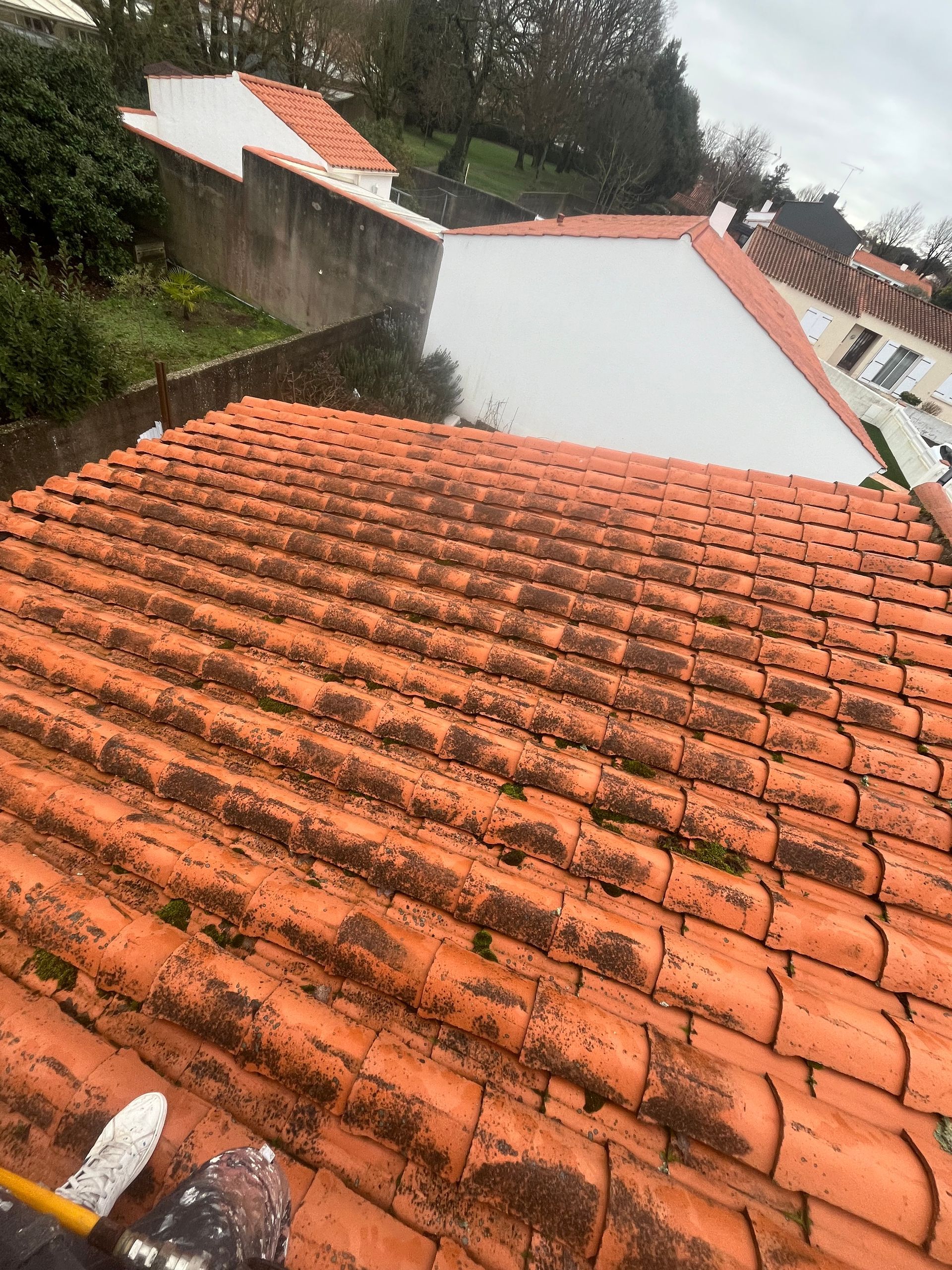 Toiture en tuile sale et recouverte de mousse